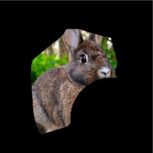 Meet your Posher, Breann